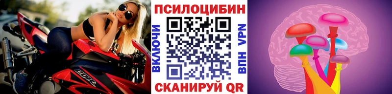 Галлюциногенные грибы Psilocybe как найти закладки Нязепетровск